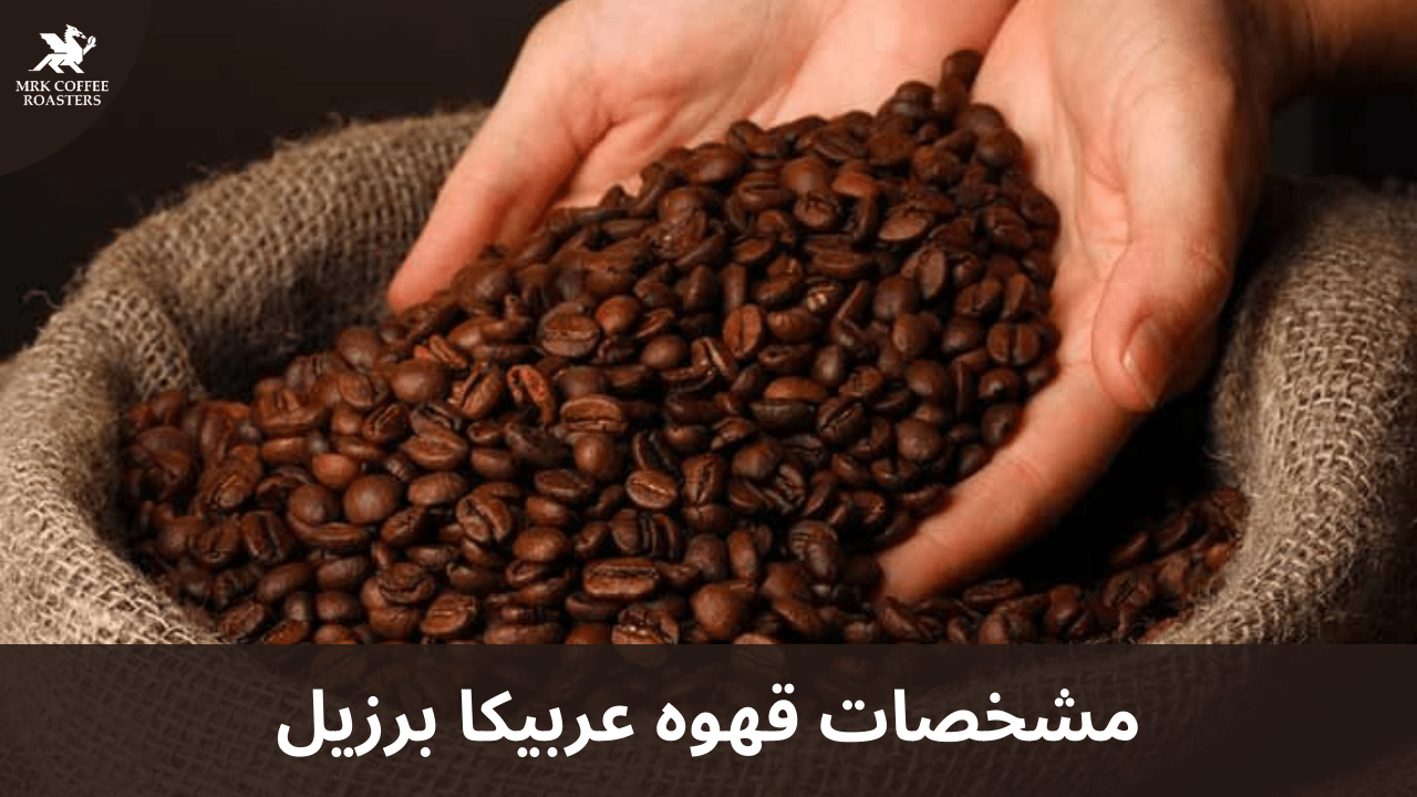 مشخصات قهوه عربیکا برزیل