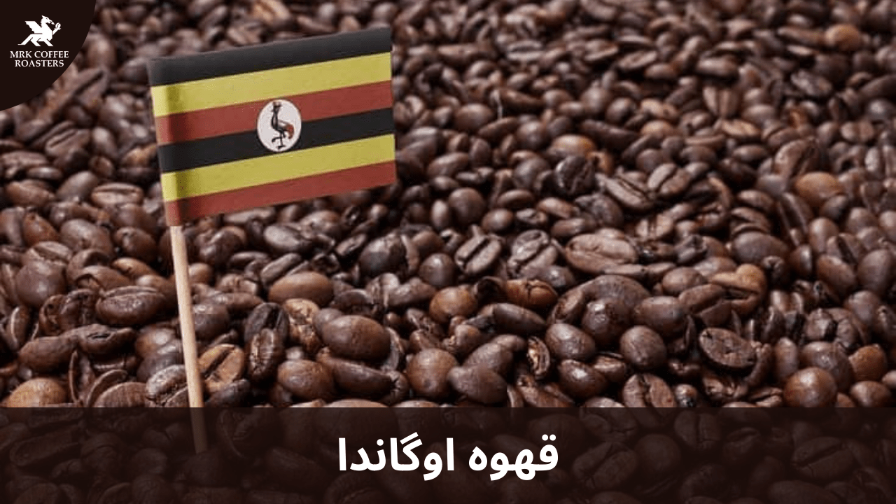 قهوه اوگاندا 
