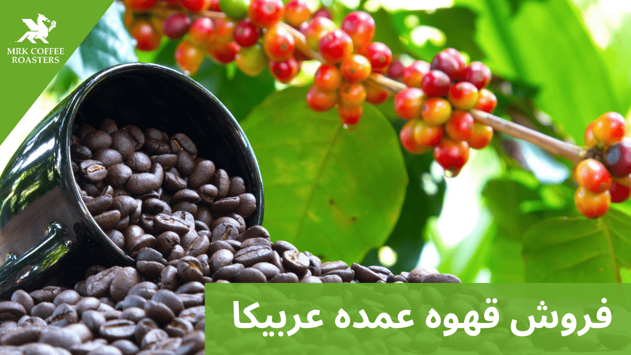 فروش قهوه عمده عربیکا