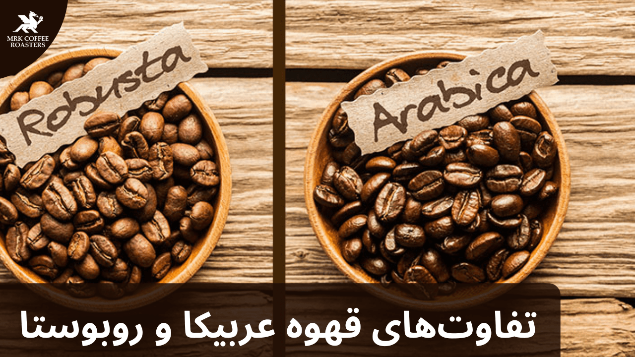 تفاوت های قهوه عربیکا و روبوستا