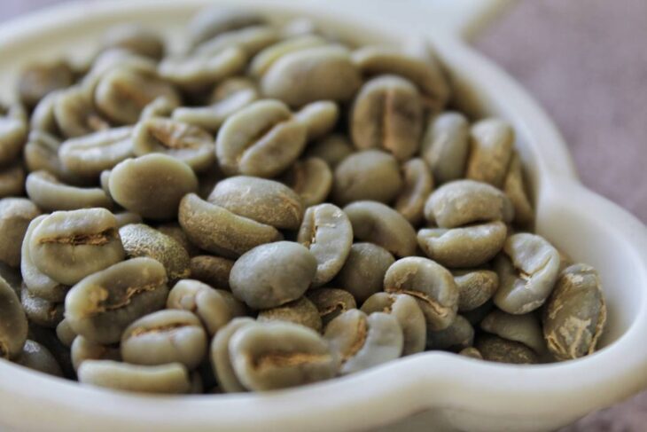 راهنمای کامل خرید عمده قهوه سبز